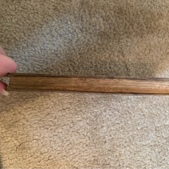 New System Educating Horses Book Late 1800s- Early 1900s - Picture 9 of 13